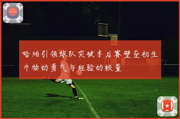 哈珀引领球队突破季后赛壁垒初生牛犊的勇气与经验的较量